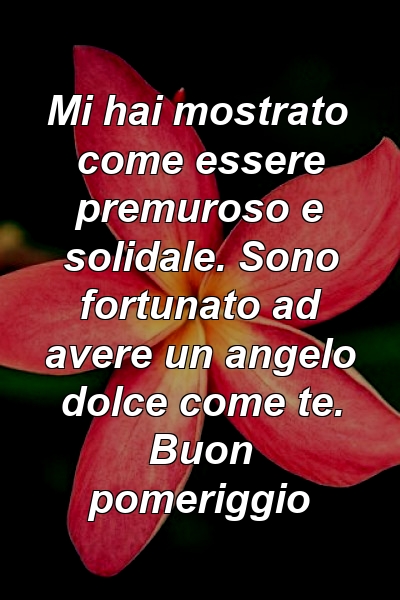 Mi hai mostrato come essere premuroso e solidale. Sono fortunato ad avere un angelo dolce come te. Buon pomeriggio