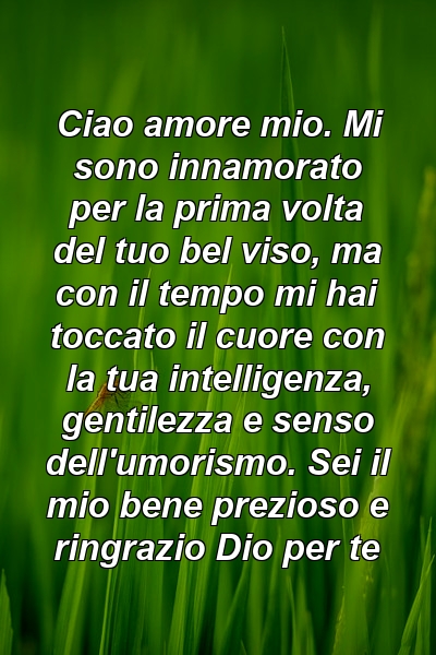 Ciao amore mio. Mi sono innamorato per la prima volta del tuo bel viso, ma con il tempo mi hai toccato il cuore con la tua intelligenza, gentilezza e senso dell