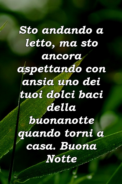 Sto andando a letto, ma sto ancora aspettando con ansia uno dei tuoi dolci baci della buonanotte quando torni a casa. Buona Notte