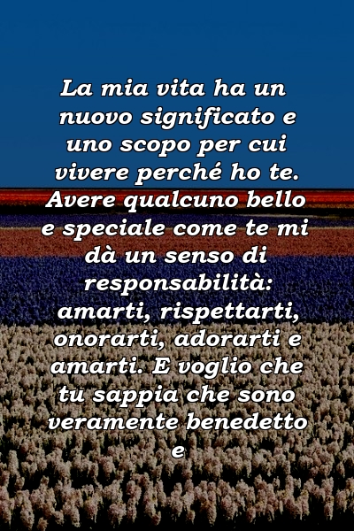 La mia vita ha un nuovo significato e uno scopo per cui vivere perché ho te. Avere qualcuno bello e speciale come te mi dà un senso di responsabilità: amarti, rispettarti, onorarti, adorarti e amarti. E voglio che tu sappia che sono veramente benedetto e