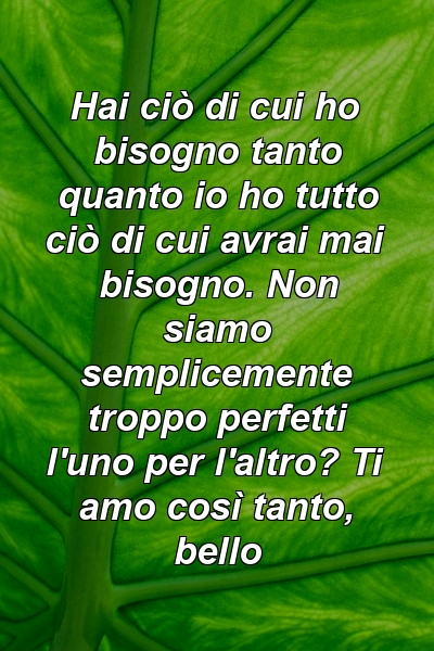 Hai ciò di cui ho bisogno tanto quanto io ho tutto ciò di cui avrai mai bisogno. Non siamo semplicemente troppo perfetti l