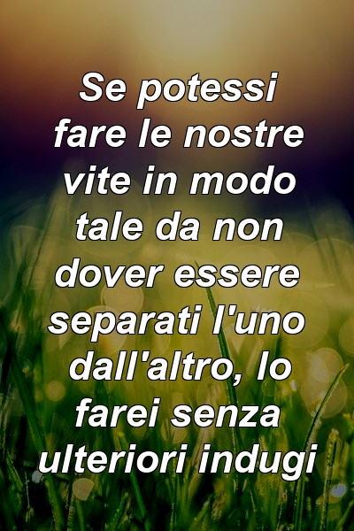 Se potessi fare le nostre vite in modo tale da non dover essere separati l