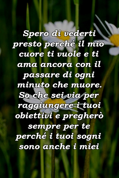 Spero di vederti presto perché il mio cuore ti vuole e ti ama ancora con il passare di ogni minuto che muore. So che sei via per raggiungere i tuoi obiettivi e pregherò sempre per te perché i tuoi sogni sono anche i miei