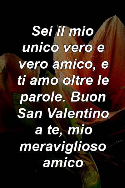 Sei il mio unico vero e vero amico, e ti amo oltre le parole. Buon San Valentino a te, mio ​​meraviglioso amico