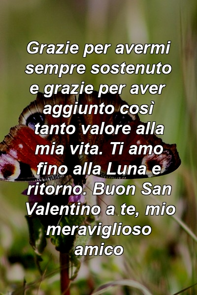 Grazie per avermi sempre sostenuto e grazie per aver aggiunto così tanto valore alla mia vita. Ti amo fino alla Luna e ritorno. Buon San Valentino a te, mio ​​meraviglioso amico