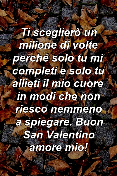 Ti sceglierò un milione di volte perché solo tu mi completi e solo tu allieti il ​​mio cuore in modi che non riesco nemmeno a spiegare. Buon San Valentino amore mio!