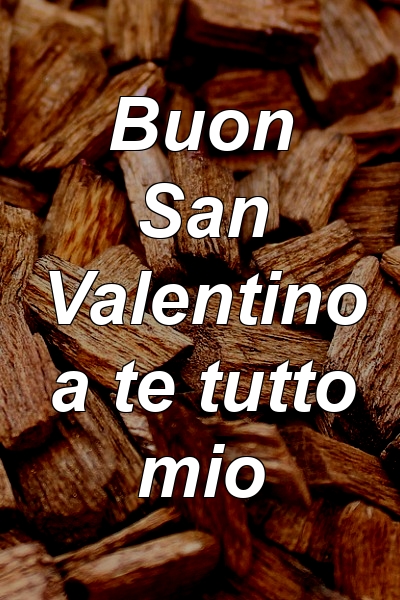 Buon San Valentino a te tutto mio