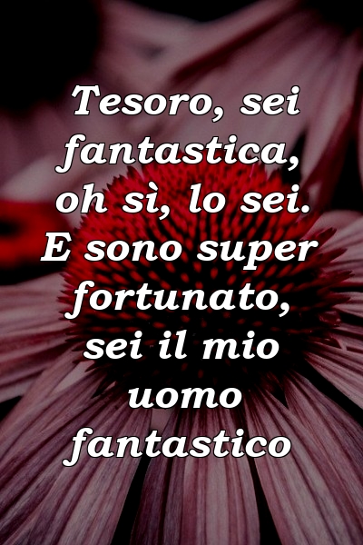 Tesoro, sei fantastica, oh sì, lo sei. E sono super fortunato, sei il mio uomo fantastico