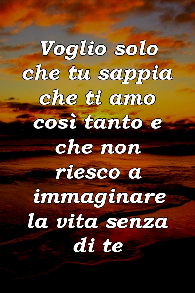 Voglio solo che tu sappia che ti amo così tanto e che non riesco a immaginare la vita senza di te