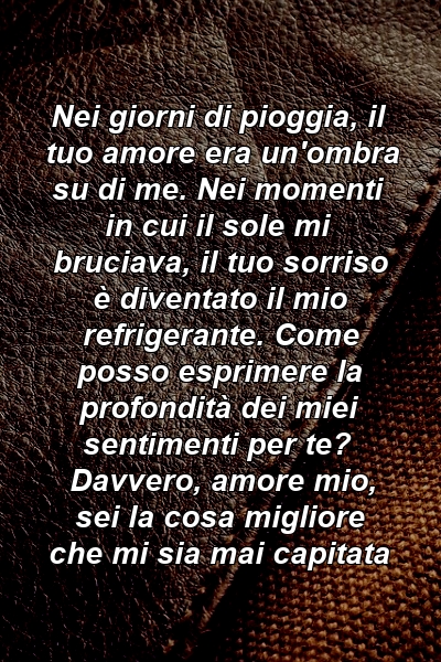 Nei giorni di pioggia, il tuo amore era un