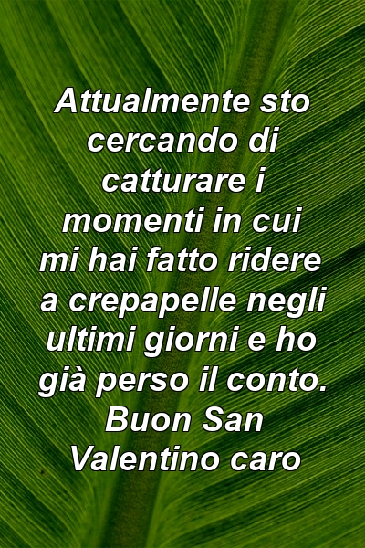 Attualmente sto cercando di catturare i momenti in cui mi hai fatto ridere a crepapelle negli ultimi giorni e ho già perso il conto. Buon San Valentino caro