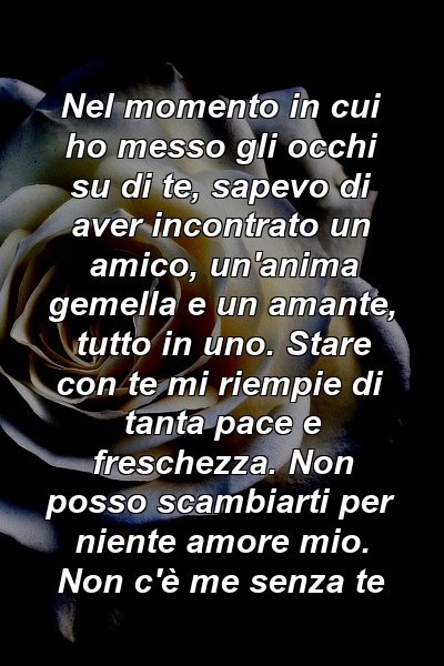 Nel momento in cui ho messo gli occhi su di te, sapevo di aver incontrato un amico, un