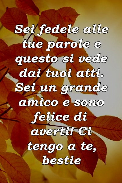 Sei fedele alle tue parole e questo si vede dai tuoi atti. Sei un grande amico e sono felice di averti! Ci tengo a te, bestie