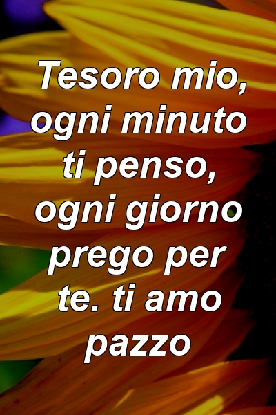 Tesoro mio, ogni minuto ti penso, ogni giorno prego per te. ti amo pazzo