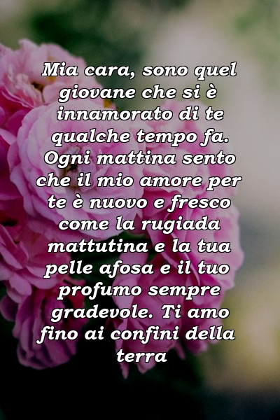 Mia cara, sono quel giovane che si è innamorato di te qualche tempo fa. Ogni mattina sento che il mio amore per te è nuovo e fresco come la rugiada mattutina e la tua pelle afosa e il tuo profumo sempre gradevole. Ti amo fino ai confini della terra