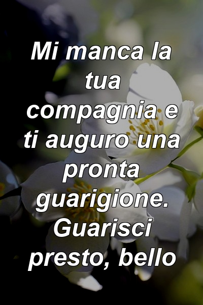 Mi manca la tua compagnia e ti auguro una pronta guarigione. Guarisci presto, bello