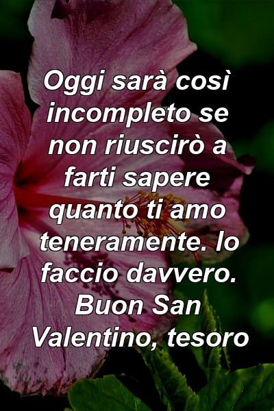 Oggi sarà così incompleto se non riuscirò a farti sapere quanto ti amo teneramente. lo faccio davvero. Buon San Valentino, tesoro