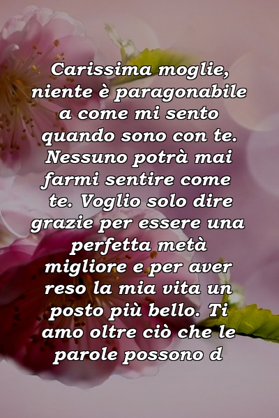 Carissima moglie, niente è paragonabile a come mi sento quando sono con te. Nessuno potrà mai farmi sentire come te. Voglio solo dire grazie per essere una perfetta metà migliore e per aver reso la mia vita un posto più bello. Ti amo oltre ciò che le parole possono d