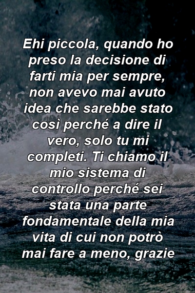 Ehi piccola, quando ho preso la decisione di farti mia per sempre, non avevo mai avuto idea che sarebbe stato così perché a dire il vero, solo tu mi completi. Ti chiamo il mio sistema di controllo perché sei stata una parte fondamentale della mia vita di cui non potrò mai fare a meno, grazie