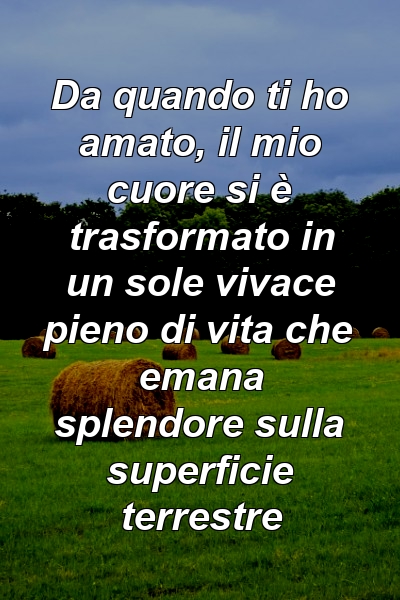 Da quando ti ho amato, il mio cuore si è trasformato in un sole vivace pieno di vita che emana splendore sulla superficie terrestre