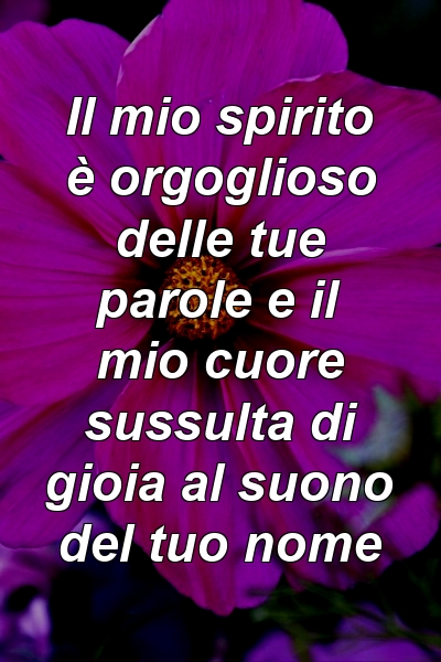 Il mio spirito è orgoglioso delle tue parole e il mio cuore sussulta di gioia al suono del tuo nome