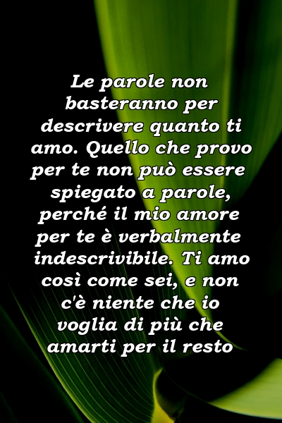 Le parole non basteranno per descrivere quanto ti amo. Quello che provo per te non può essere spiegato a parole, perché il mio amore per te è verbalmente indescrivibile. Ti amo così come sei, e non c