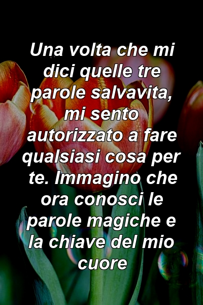 Una volta che mi dici quelle tre parole salvavita, mi sento autorizzato a fare qualsiasi cosa per te. Immagino che ora conosci le parole magiche e la chiave del mio cuore