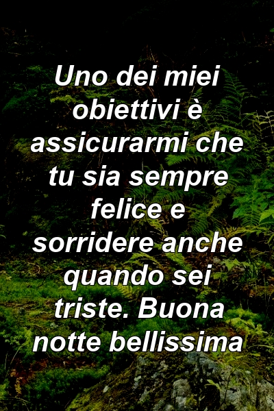 Uno dei miei obiettivi è assicurarmi che tu sia sempre felice e sorridere anche quando sei triste. Buona notte bellissima