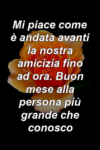 Mi piace come è andata avanti la nostra amicizia fino ad ora. Buon mese alla persona più grande che conosco