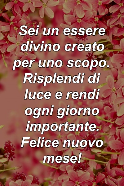 Sei un essere divino creato per uno scopo. Risplendi di luce e rendi ogni giorno importante. Felice nuovo mese!