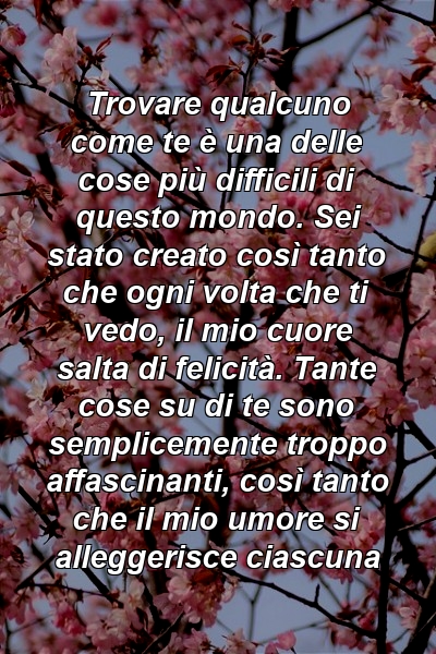 Trovare qualcuno come te è una delle cose più difficili di questo mondo. Sei stato creato così tanto che ogni volta che ti vedo, il mio cuore salta di felicità. Tante cose su di te sono semplicemente troppo affascinanti, così tanto che il mio umore si alleggerisce ciascuna