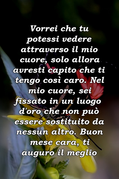 Vorrei che tu potessi vedere attraverso il mio cuore, solo allora avresti capito che ti tengo così caro. Nel mio cuore, sei fissato in un luogo d