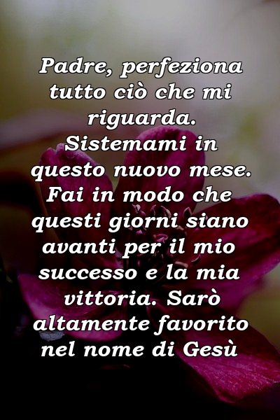 Padre, perfeziona tutto ciò che mi riguarda. Sistemami in questo nuovo mese. Fai in modo che questi giorni siano avanti per il mio successo e la mia vittoria. Sarò altamente favorito nel nome di Gesù