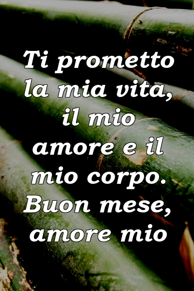 Ti prometto la mia vita, il mio amore e il mio corpo. Buon mese, amore mio