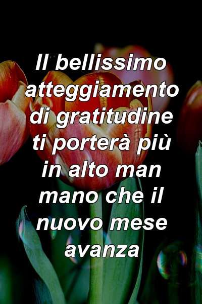 Il bellissimo atteggiamento di gratitudine ti porterà più in alto man mano che il nuovo mese avanza