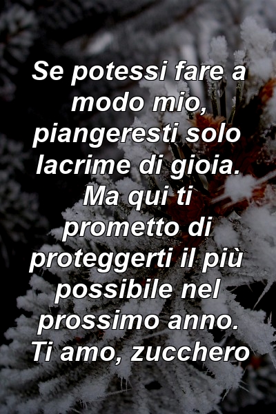 Se potessi fare a modo mio, piangeresti solo lacrime di gioia. Ma qui ti prometto di proteggerti il ​​più possibile nel prossimo anno. Ti amo, zucchero