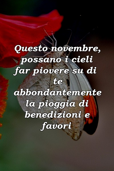 Questo novembre, possano i cieli far piovere su di te abbondantemente la pioggia di benedizioni e favori