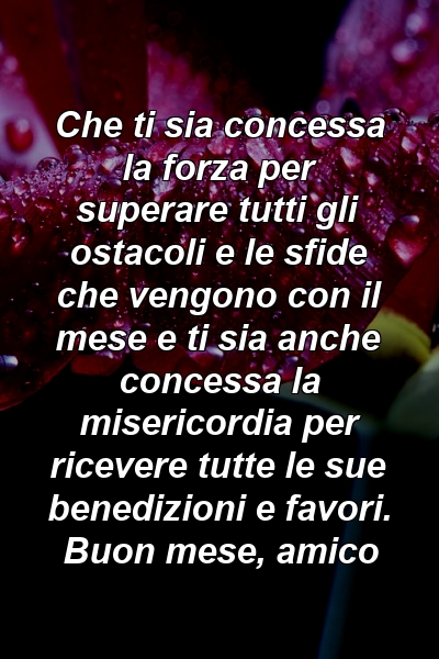 Che ti sia concessa la forza per superare tutti gli ostacoli e le sfide che vengono con il mese e ti sia anche concessa la misericordia per ricevere tutte le sue benedizioni e favori. Buon mese, amico