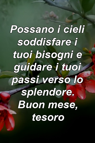 Possano i cieli soddisfare i tuoi bisogni e guidare i tuoi passi verso lo splendore. Buon mese, tesoro