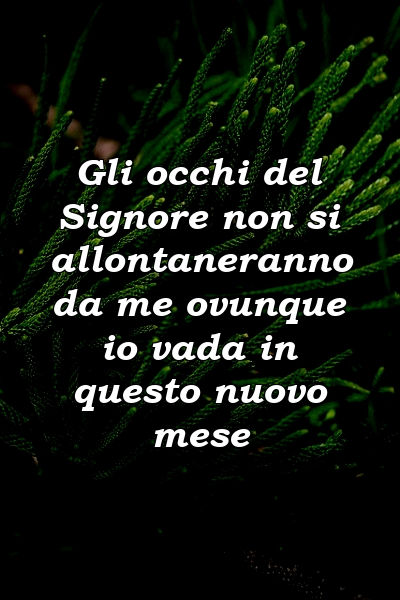 Gli occhi del Signore non si allontaneranno da me ovunque io vada in questo nuovo mese