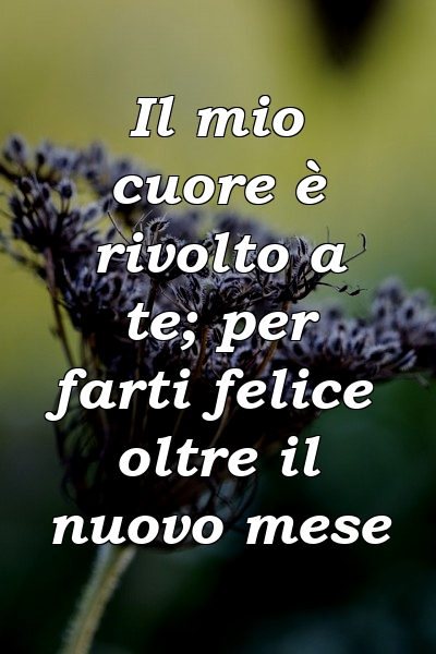 Il mio cuore è rivolto a te; per farti felice oltre il nuovo mese