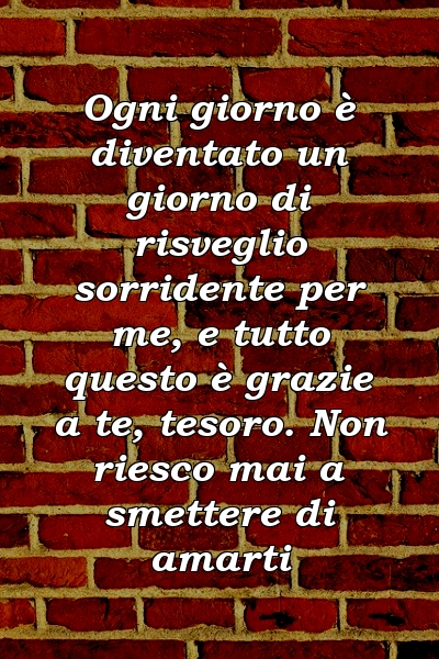 Ogni giorno è diventato un giorno di risveglio sorridente per me, e tutto questo è grazie a te, tesoro. Non riesco mai a smettere di amarti